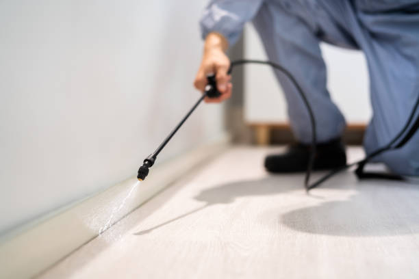 Bed Bug Pre-Treatment Preparation Assessment in Decherd