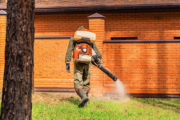 Bed Bug Clearance Verification and Documentation in Decherd